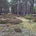 Gæstehus Diament Borne Sulinowo