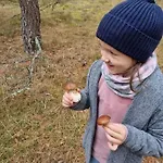 Gæstehus Diament Borne Sulinowo