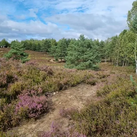 Гостевой дом Diament Борне-Сулиново