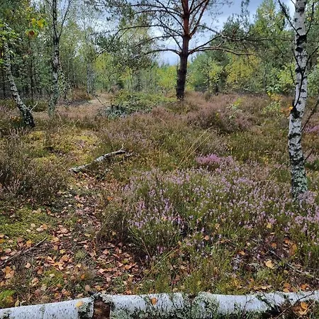 בית הארחה Diament