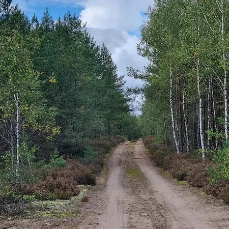 Diament Borne Sulinowo