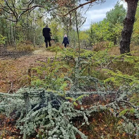 Diament Гостевой дом