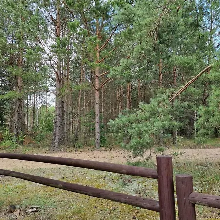 Diament 3* Борне-Сулиново