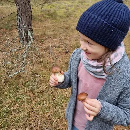 Pensjonat Diament Borne Sulinowo