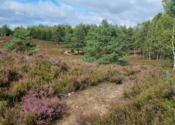 Pensjonat Diament Borne Sulinowo