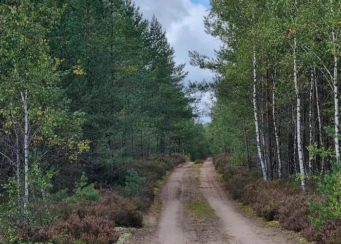 Diament Borne Sulinowo