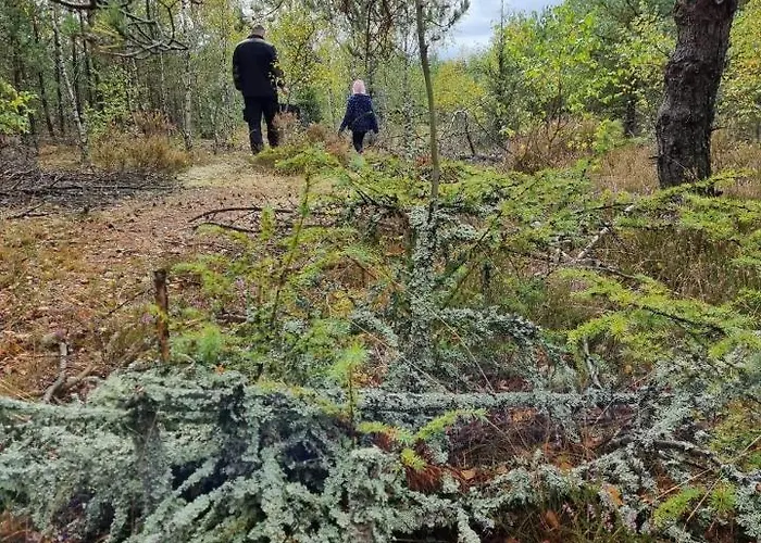 Diament Affittacamere