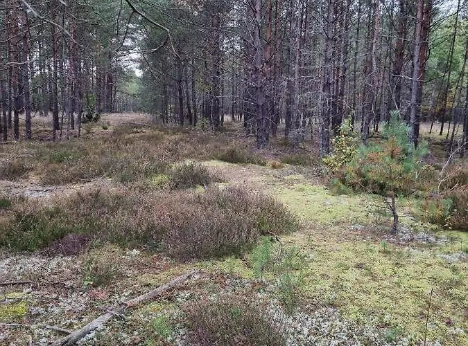 Pensjonat Diament Borne Sulinowo