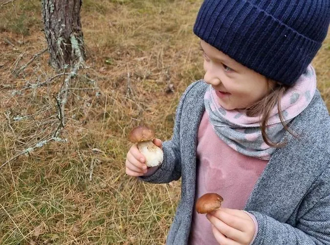 Affittacamere Diament Borne Sulinowo