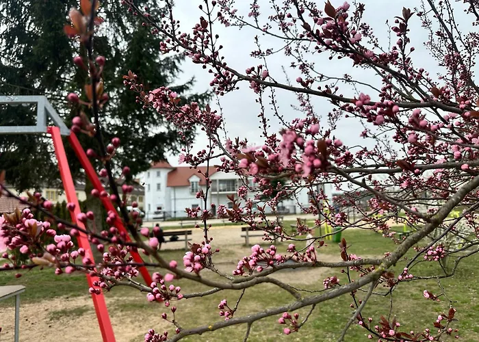 Pensjonat Diament 3*